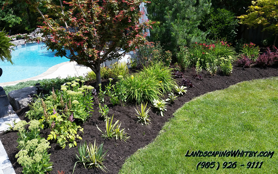 Pool Landscaping and Flower Beds